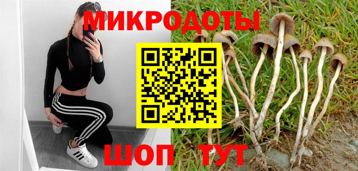 Галлюциногенные грибы Cubensis Коммунар