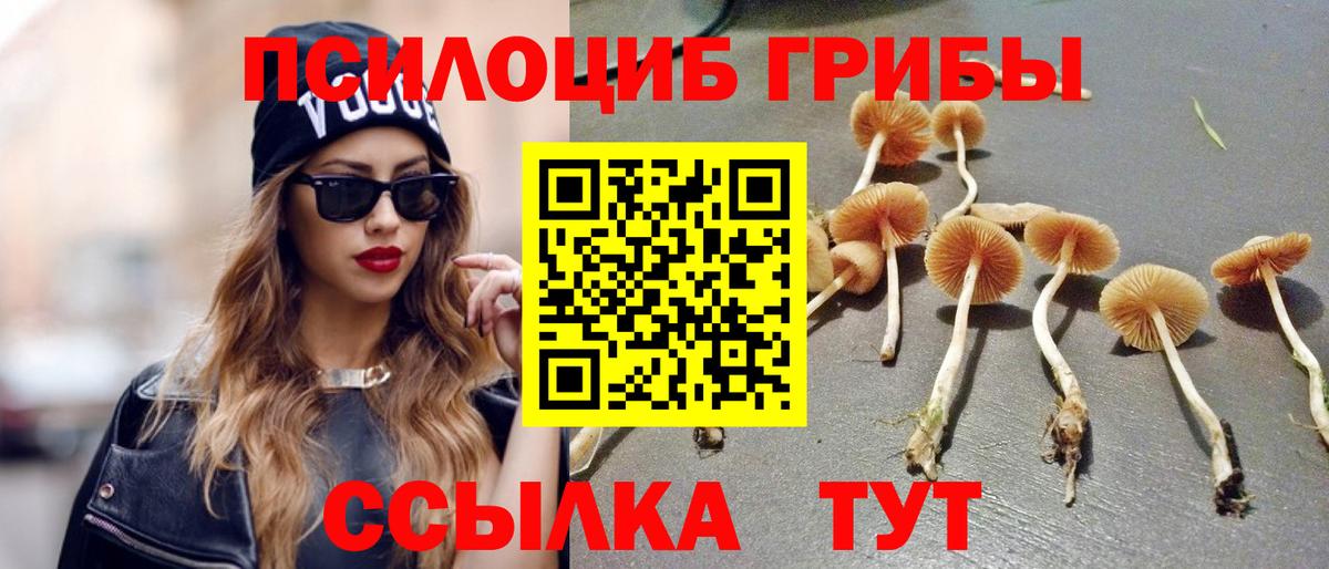Псилоцибиновые грибы Magic Shrooms  Вход с VPN  Коммунар  Галлюциногенные грибы GOLDEN TEACHER 